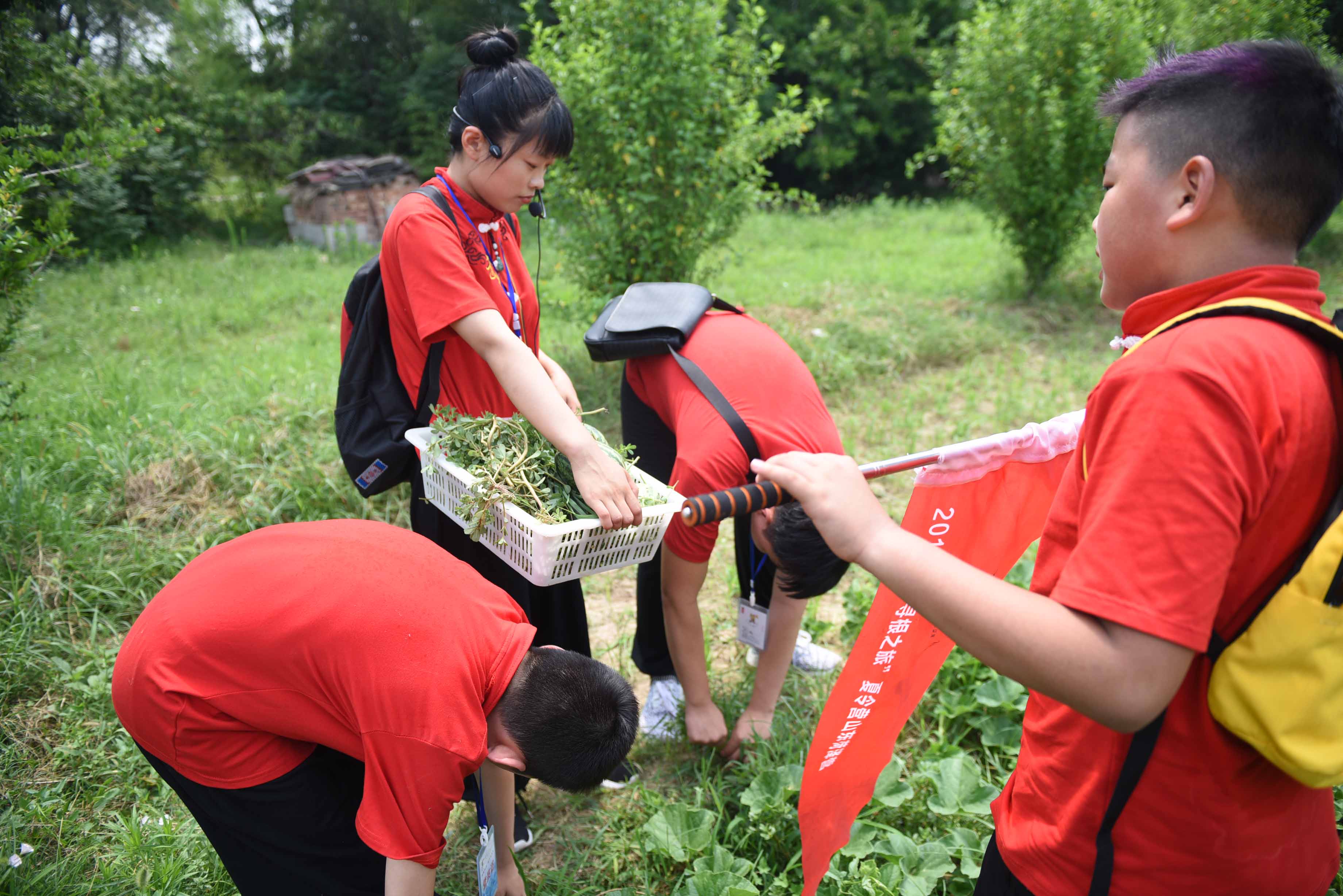 水浒少年研学视频